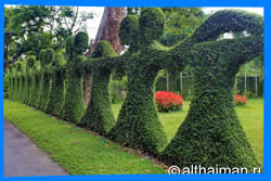 Чианг Май Тайланд Чанг Май Chiang Mai  Отели Чианг Мая Chiang Mai Hotels