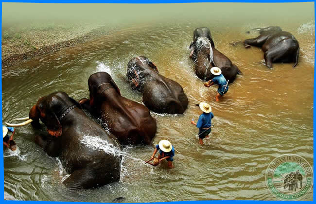 Чианг Май Тайланд Чанг Май Chiang Mai  Отели Чианг Мая Chiang Mai Hotels