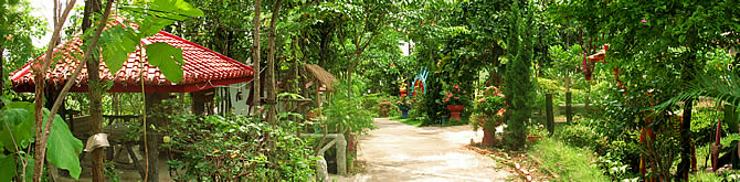 ��� ��� ���� ����� _����� ���_���� ���_WAT PHRA THAT SI CHOM THONG CHIANG MAI 