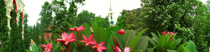 ��� ��� ���� ����� _����� ���_���� ���_WAT PHRA THAT SI CHOM THONG CHIANG MAI 