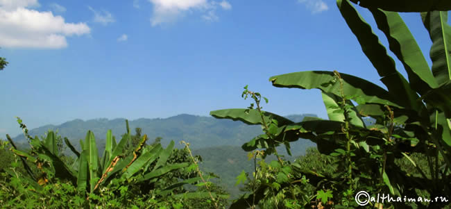 FANG_CHIANG MAI_ ФАНГ ГОРЯЧИЕ ИСТОЧНИКИ_ЧИАНГ МАЙ_СЕВЕРНЫЙ ТАИЛАНД