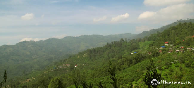 FANG_CHIANG MAI_ ФАНГ ГОРЯЧИЕ ИСТОЧНИКИ_ЧИАНГ МАЙ_СЕВЕРНЫЙ ТАИЛАНД