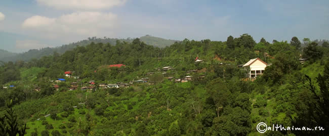 FANG_CHIANG MAI_ ФАНГ ГОРЯЧИЕ ИСТОЧНИКИ_ЧИАНГ МАЙ_СЕВЕРНЫЙ ТАИЛАНД