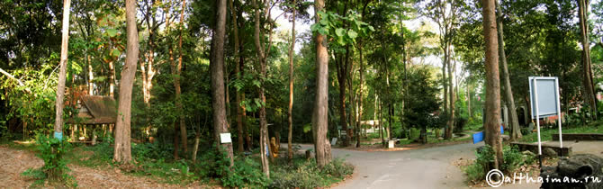 CHIANG MAI_ЧИАНГ МАЙ_ЧАНГ МАЙ_CHIANGMAI_CHIANG  MAI