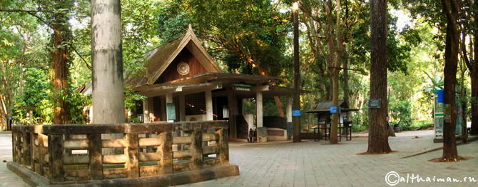 CHIANG MAI_ЧИАНГ МАЙ_ЧАНГ МАЙ_CHIANGMAI_CHIANG  MAI
