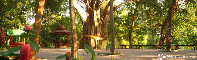 CHIANG MAI_ЧИАНГ МАЙ_ЧАНГ МАЙ_CHIANGMAI_CHIANG  MAI