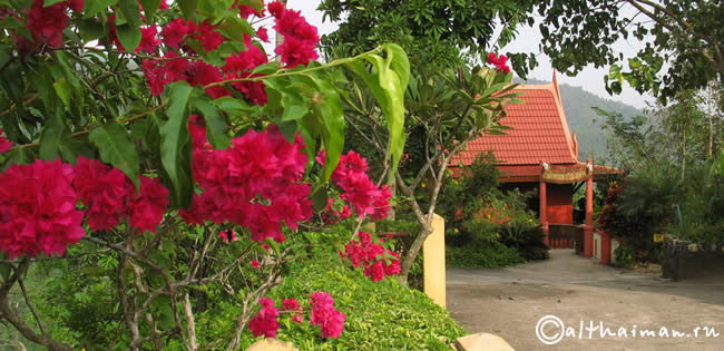 THA TON_CHIANG MAI_��� ���_����� ���_�������� �������