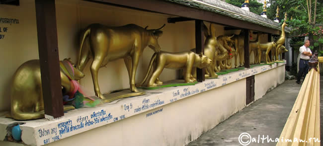 ЧИАНГ МАЙ_ЧАНГ МАЙ_CHIANGMAI