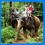 ОТЕЛИ КАО ЛАК  ТАЙЛАНД ВСЕ ОТЕЛИ ПАНГ НГА KHAO LAK HOTELS 