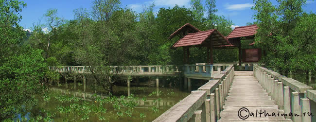 Koh Chang Mangrove, Koh Chang Attractions
