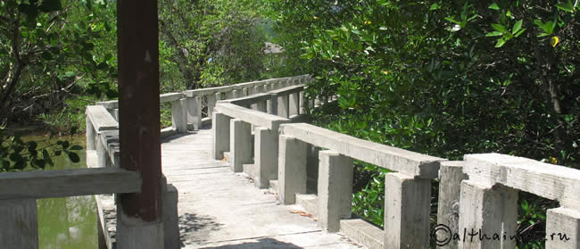 Koh Chang Mangrove, Koh Chang Attractions