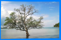 Picturesque lagoon klong son