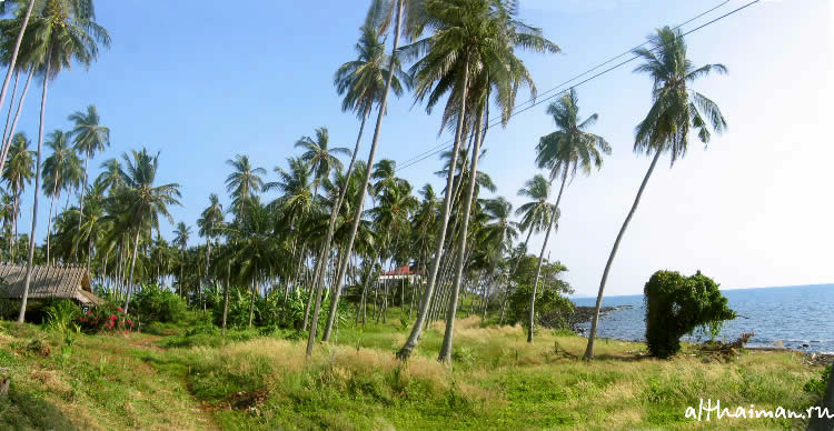 ОСТРОВ КОХ МААК_КО МАК_KOH MAAK ISLAND THAILAND