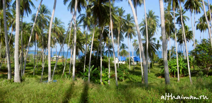 ОСТРОВ КОХ МААК_КО МАК_KOH MAAK ISLAND THAILAND