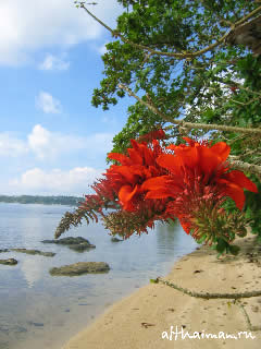 ������ ��� ����_�� ���_KOH MAAK ISLAND THAILAND