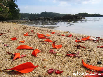 ������ ��� ����_�� ���_KOH MAAK ISLAND THAILAND