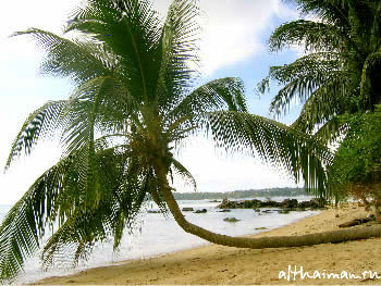 ������ ��� ����_�� ���_KOH MAAK ISLAND THAILAND