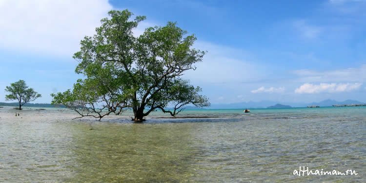 ОСТРОВ КОХ МААК_КО МАК_KOH MAAK ISLAND THAILAND