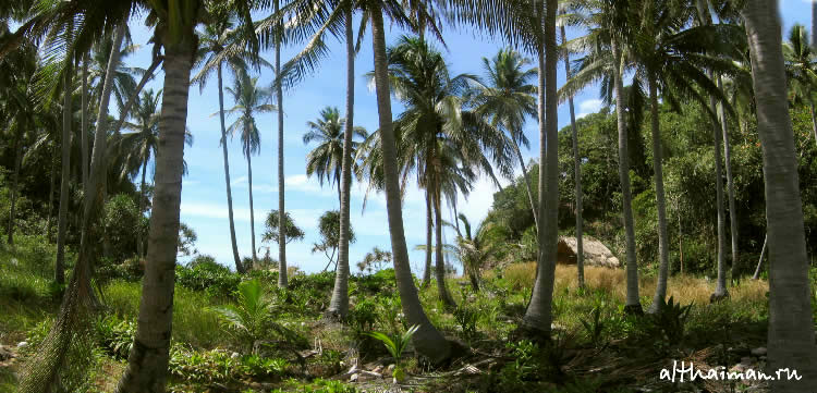 ОСТРОВ КОХ МААК_КО МАК_KOH MAAK ISLAND THAILAND
