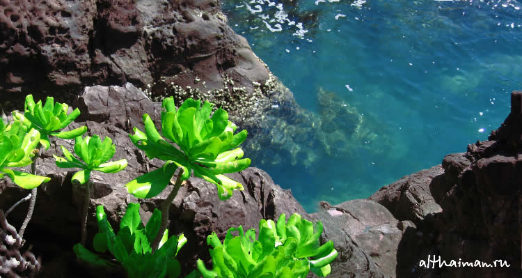 ОСТРОВ КОХ МААК_КО МАК_KOH MAAK ISLAND THAILAND
