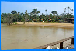 Ко Мак, Koh Mak, Maak, отель на Ко Мак, отели Ко Мак, отдых на Ко Мак, фото Ко Мак, туры на Ко Мак, дешевые авиабилеты,  острова, ресторан, еда, ночной клуб, пляж, номер в отеле на Ко Мак, медовый месяц,  на Ко Мак