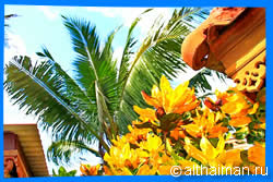 Chai Chet Beach Photo, Koh Chang Photos, ไชยเชษฐ์ รีสอร์ท
