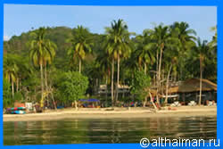The Beach