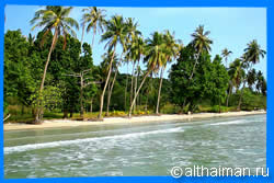 The Beach