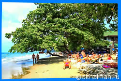 остров Ко Чанг, Тайланд, Koh Chang, Чанг, Таиланд, отель на Ко Чанге, отели Ко Чанг, отдых на Ко Чанг, фото Ко Чанг, туры на Ко Чанг, дешевые авиабилеты,  острова, ресторан, ко чанг фото-отчёт, еда, ночной клуб, пляж, номер в отеле на Ко Чанг, медовый месяц, на Ко чанг