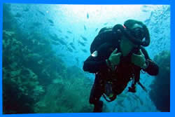 Popular Dive Sites nearby Koh Chang 
