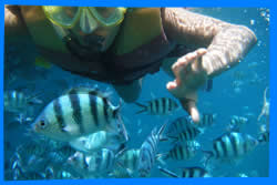 остров Ко Чанг, Тайланд, Koh Chang, Чанг, Таиланд, отель на Ко Чанге, отели Ко Чанг, отдых на Ко Чанг, фото Ко Чанг, туры на Ко Чанг, дешевые авиабилеты,  острова, ресторан, ко чанг фото-отчёт, еда, ночной клуб, пляж, номер в отеле на Ко Чанг, медовый месяц, на Ко чанг