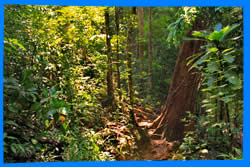 остров Ко Чанг, Тайланд, Koh Chang, Чанг, Таиланд, отель на Ко Чанге, отели Ко Чанг, отдых на Ко Чанг, фото Ко Чанг, туры на Ко Чанг, дешевые авиабилеты,  острова, ресторан, ко чанг фото-отчёт, еда, ночной клуб, пляж, номер в отеле на Ко Чанг, медовый месяц, на Ко чанг