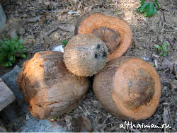 �� ����_�� ����_KOH KOOD_��� ���_�� ���