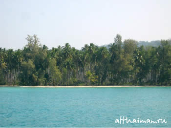 �� ����_�� ����_KOH KOOD_��� ���_�� ���