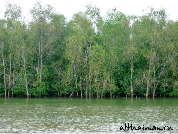 �� ����_�� ����_KOH KOOD_��� ���_�� ���