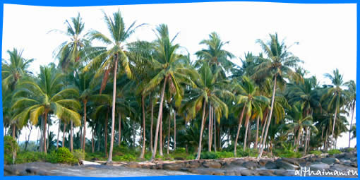 ОТЕЛИ ОСТРОВ КО КУД ТАЙЛАНД ОТЕЛИ КО КУД  КОХ КУТ  ТАИЛАНД  КОД КУУД KOH KOOD HOTELS RESORTS THAILAND
