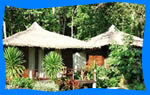 Holiday Cottage Koh Kood Resort & Spa