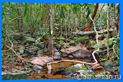  Koh Kood, resort, hotel, Koh Kood activities, Koh Kood Photo, Koh Kood tour, cheap air tickets,  islands, dining, food, nightlife, beach, Koh Kood hotel room, honeymoon,  trip to Koh Kood, Ko Kut