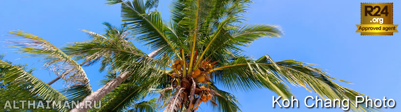 Lonely Beach Photo, Koh Chang Island Photos