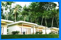 Nest Sense Resort