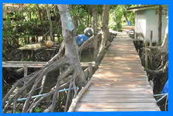 Salak Phet Bay,Travel Guide for Salak Phet Bay
