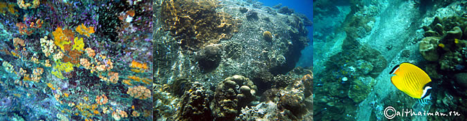 KOH TAO KOHTAO KOTAO KO TAO ISLAND_ОСТРОВ КОХ ТАО КО ТАО ТАУ КОТАУ КОТАО КОХТАО ТАИЛАНД