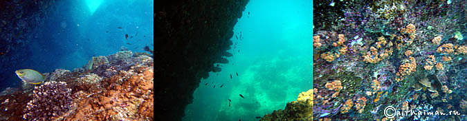 KOH TAO KOHTAO KOTAO KO TAO ISLAND_ОСТРОВ КОХ ТАО КО ТАО ТАУ КОТАУ КОТАО КОХТАО ТАИЛАНД