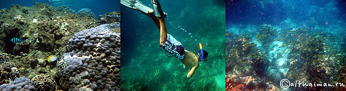 KOH TAO KOHTAO KOTAO KO TAO ISLAND_ОСТРОВ КОХ ТАО КО ТАО ТАУ КОТАУ КОТАО КОХТАО ТАИЛАНД