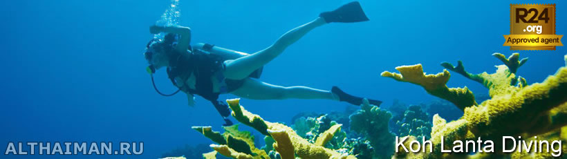 Koh Lanta Diving & Snorkeling - Koh Lanta Activities
