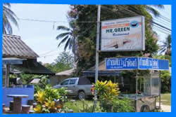 Mr Green 