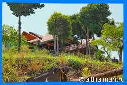 Jungle View restaurant 
