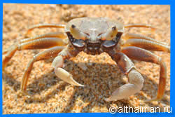 Koh Lanta Photo, Koh Lanta Hotels, Beaches, Islands Photos