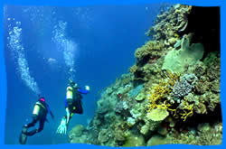 Koh Ha Dive Site 