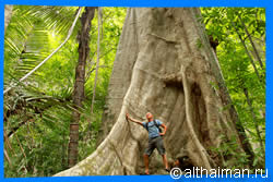 Краби, Таиланд, Тайланд, Krabi, Thailand, лучший отель в Краби, отели Краби, отдых в Краби, фото Краби, туры в Краби, дешевые авиабилеты в Краби,  острова Краби, ресторан, краби фото-отчёт, еда, ночной клуб, пляж, номер в отеле Краби, медовый месяц, на Краби